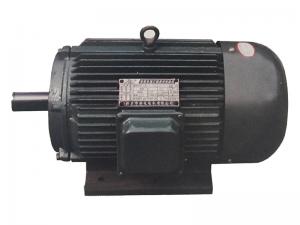 YD系列三相多速異步電動機(jī)